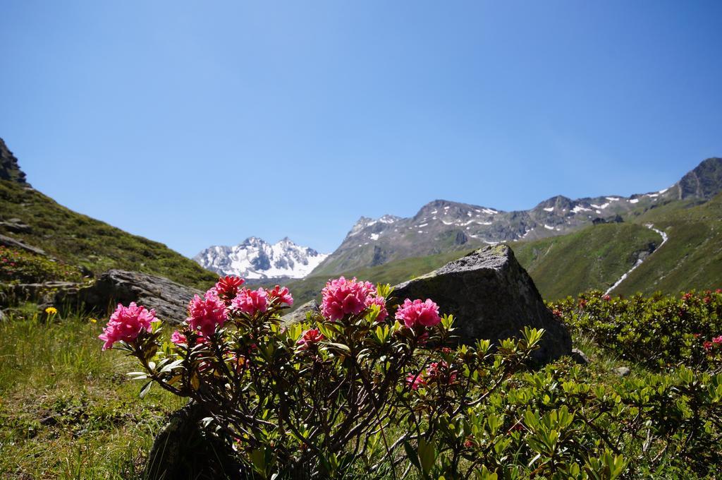 Appartementhaus Nadine レンゲンフェルト エクステリア 写真